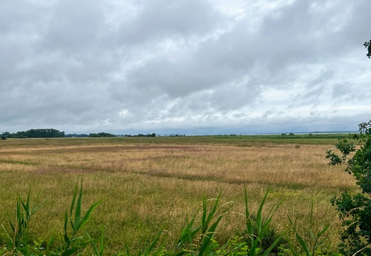 0630 Zingst - Stralsund